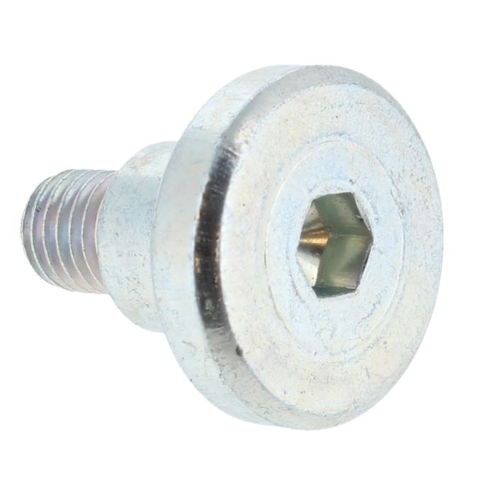 Varžtas Bosch 160343507R