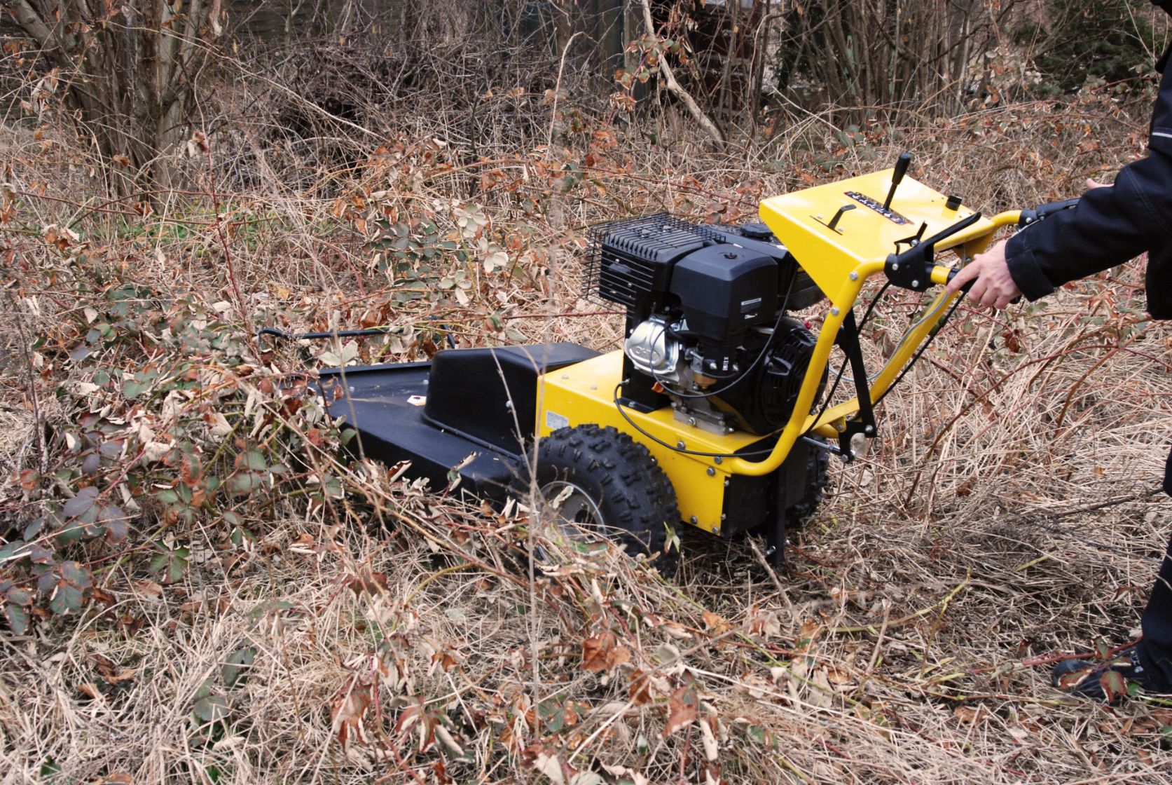 ZPI☆BFC930⭐︎PRO⭐︎LTX.LTZに⭐︎F-13 0298225.ZXEH_LT | 298 LT Series + MEGA | Littelfuse