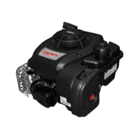 Variklis Briggs&Stratton 300E series; 22,2x62 mm; benzininis + alyva