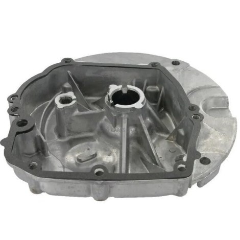 Karterio gaubtas Briggs&Stratton 493279 