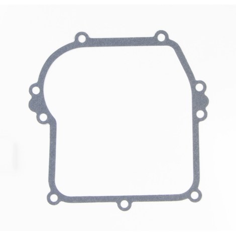 Tarpinė Briggs&Stratton 799587 