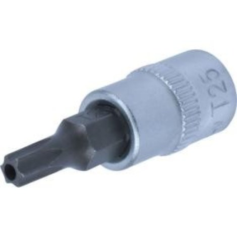 Galvutė su antgaliu Condor Werkzeug C14044/25; 1/4''; T25