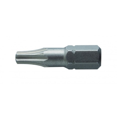 Sukimo antgalis Hogert HT1S361; T10; 25 mm; 2 vnt.