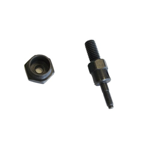Antgalis Richmann C0751; M3