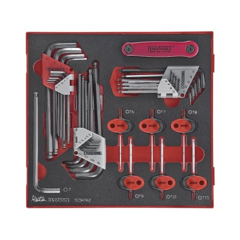 Šešiakampių raktų rinkinys Teng Tools TEDHT42; EVA; 42 vnt.