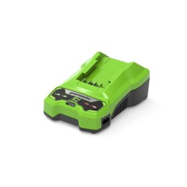 Kroviklis Greenworks G24C; 24 V