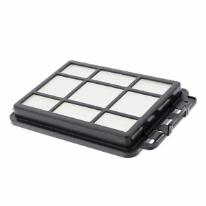 Filtras AEG VX4