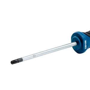 Atsuktuvas Bosch 1600A01V0D; TX25; 100 mm