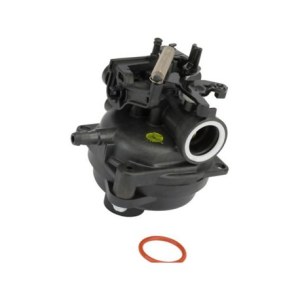Karbiuratorius Briggs&Stratton 595489 