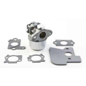 Karbiuratorius Briggs&Stratton 790120