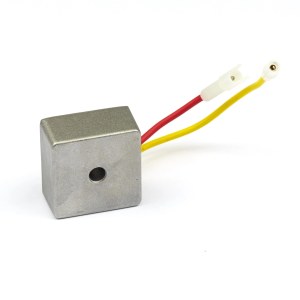 Atsarginė dalis Briggs&Stratton 794360