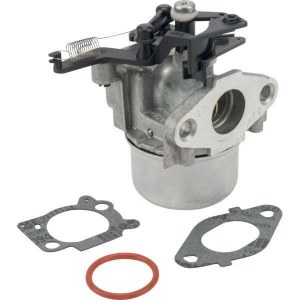 Karbiuratorius Briggs&Stratton 799479 