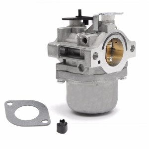 Karbiuratorius Briggs&Stratton 799728
