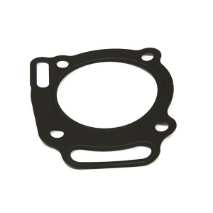 Cilindro galvutės tarpinė Briggs&Stratton 807986; 1 vnt.