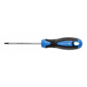 Atsuktuvas Hogert HT1S053; T10; 100 mm