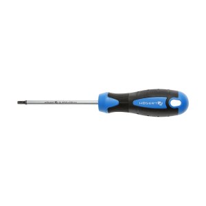 Atsuktuvas Hogert HT1S054; T15; 100 mm