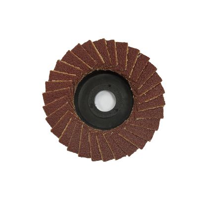 Vėduoklinis šlifavimo diskas Proxxon; K 240; 50 mm; 1 vnt.