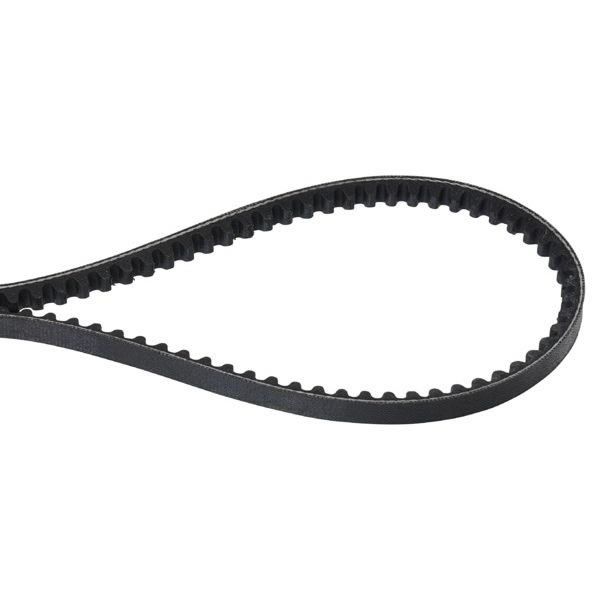 Pavaros diržas Stiga 135064379/0