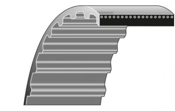Pavaros diržas 108-002; 12x800 mm