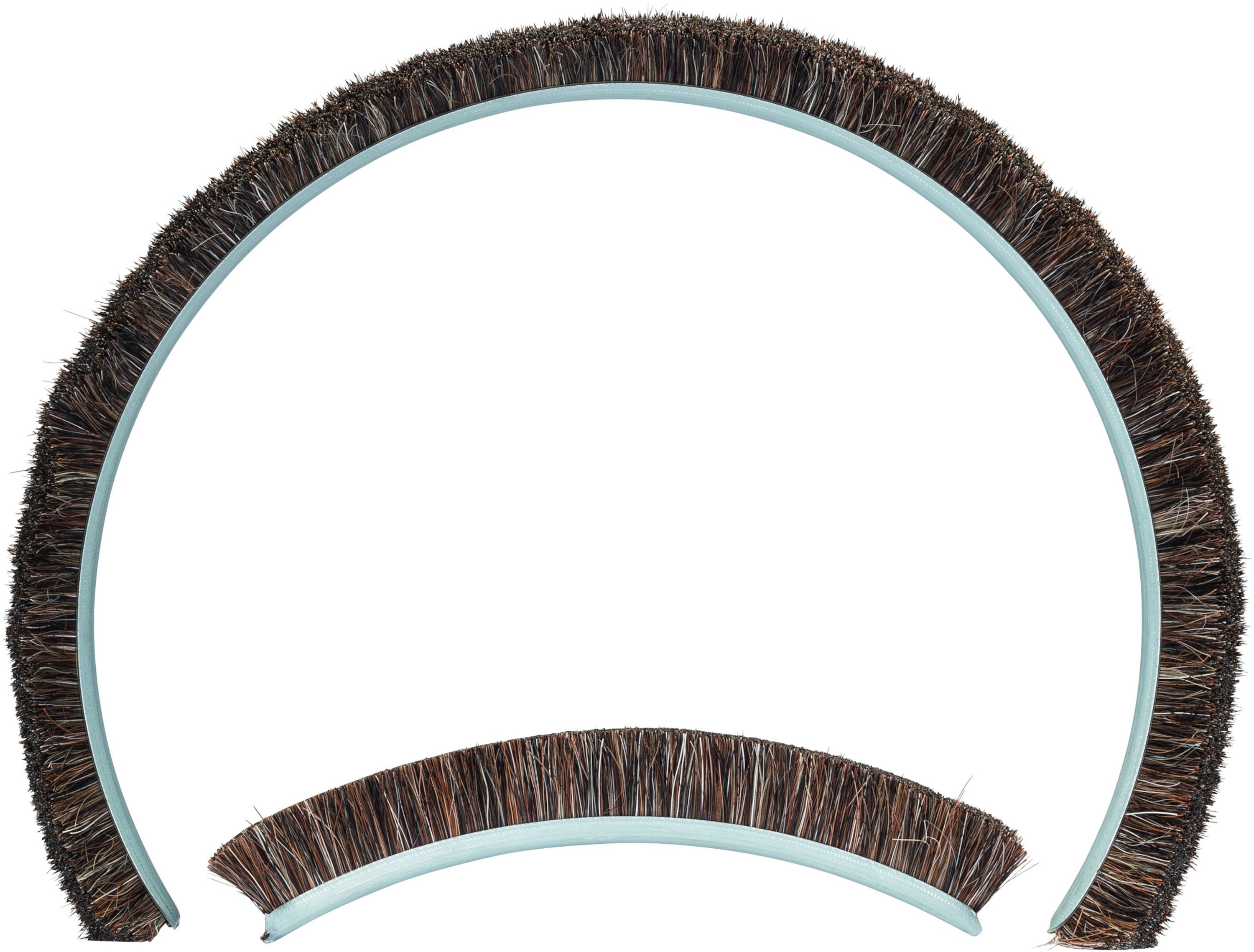 Keičiami šepetėliai Bosch PRO 