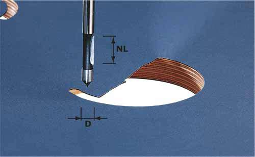 Įsigręžianti freza Festool 19/65 mm 